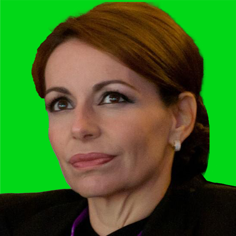 Imagem de Teresa Roque